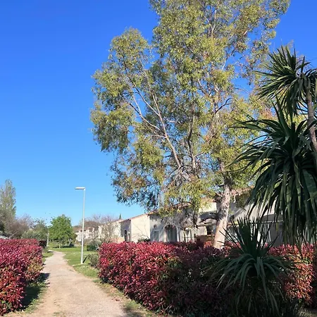 Holiday home Gabin Sous Les Oliviers Gallargues-le-Montueux