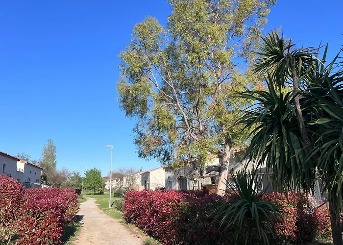 Holiday home Gabin Sous Les Oliviers Gallargues-le-Montueux